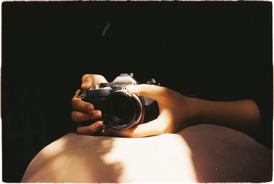 nikon d610 manual english
