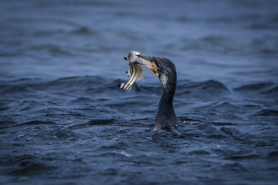 sea duck hunting guides