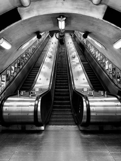 through the tunnel questions and answers pdf