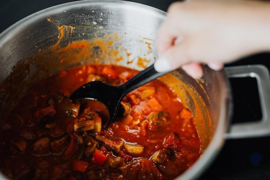philips all-in-one cooker slow cooking instructions