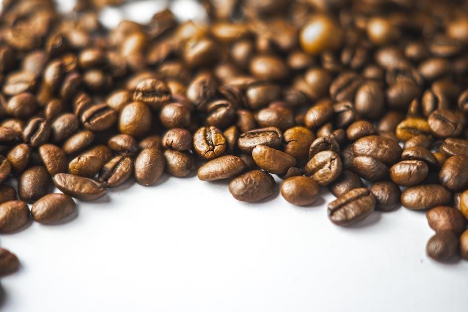 black and decker coffee maker instruction manual