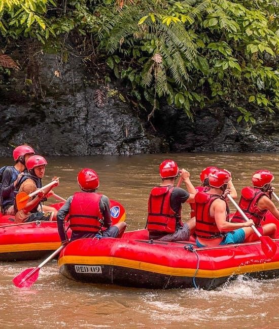 ffxi dragoon gear guide